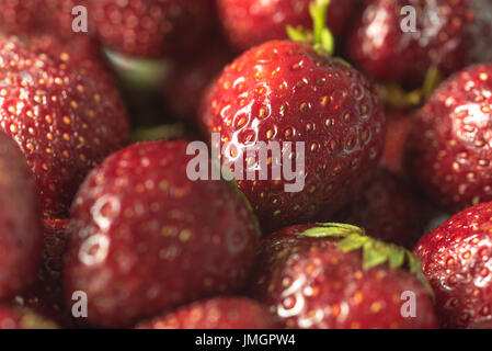 Bild von frischen Reifen perfekte Erdbeere. Makro. Stockfoto
