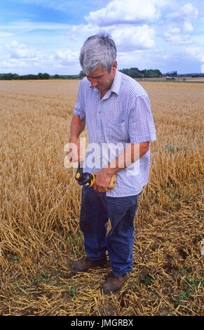 Landwirt mit Getreide Feuchtigkeitsmesser Wassergehalt in Weizen Korn im Feld zu Testen vor der Ernte in England Stockfoto