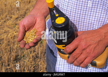 Landwirt mit Getreide Feuchtigkeitsmesser Wassergehalt in Weizen Korn im Feld zu Testen vor der Ernte in England Stockfoto