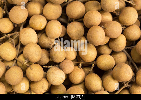Dimocarpus Longan, Longan, Frucht aus Asien. Stockfoto
