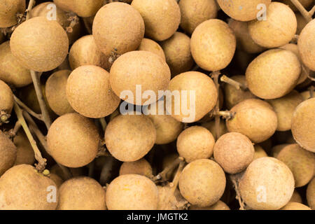 Dimocarpus Longan, Longan, Frucht aus Asien. Stockfoto