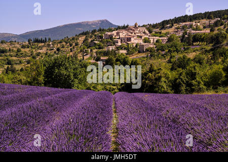 Eines der kleinen Dörfer, die unter die Lavendelfelder in der Provence, Frankreich befindet. Dies als viele andere befindet sich in einem Hügel mit Blick auf den Lavendel Stockfoto