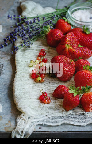 Erdbeeren für Marmelade Stockfoto