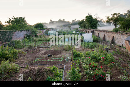 Am frühen Morgennebel über den ummauerten Kleingärten in Addberbury, Oxfordshire, England Stockfoto