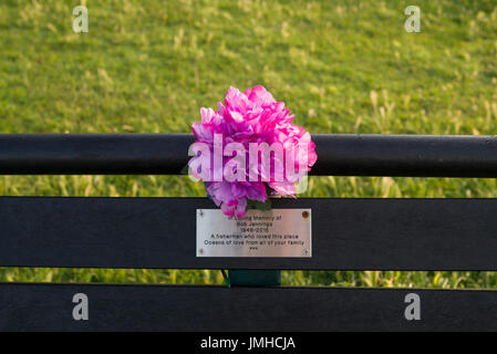 Blume auf Denkmal-Bank Stockfoto