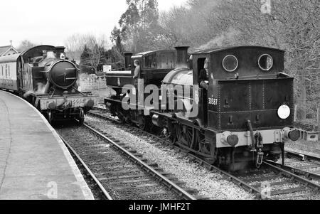 GWR Pannier Tank Nr. 1369 und Beattie gut Tank Nr. 30587 zusammen in Totnes Riverside Station gekoppelt, wie GWR 2-6-2 t Nr. 5542 am Bahnsteig ankommt. Stockfoto