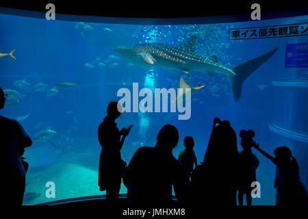 OSAKA, JAPAN - 18. Juli 2017: Unbekannte Leute zu fotografieren und genießen Meerestier, Hai-Wal an der Osaka Aquarium Kaiyukan in Osaka, Japan Stockfoto