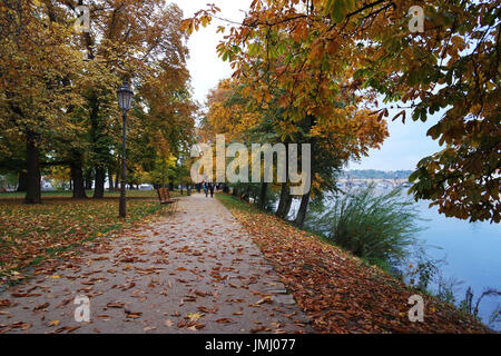Park-Weg mit gelben Blättern bedeckt Stockfoto