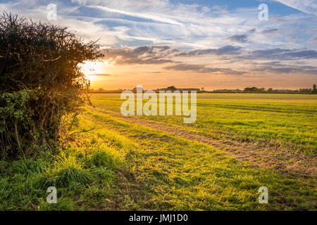 Ein warmen Sonnenuntergang folgt am Ende eines typischen ein Sommertag in der Landschaft Lincolnshire, in der Nähe von dem kleinen Dorf Aslackby, Lincolnshire, UK Stockfoto