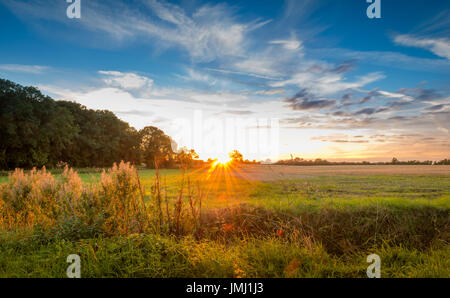 Ein warmen Sonnenuntergang folgt am Ende eines typischen ein Sommertag in der Landschaft Lincolnshire, in der Nähe von dem kleinen Dorf Aslackby, Lincolnshire, UK Stockfoto