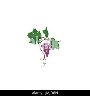 Traube Zweig. floralen Weinberg retro unterzeichnen. Garten Hintergrund. Weinbereitung Symbol Stock Vektor