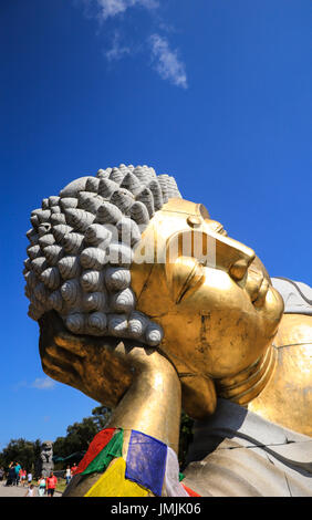 Goldene Buddha-statue Stockfoto