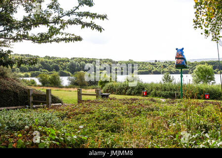 Ein Bär an Astbury Mere Country Park befindet sich ein ehemaliger Sand Steinbruch, Newcastle Road in Congleton, Cheshire, England, UK Stockfoto