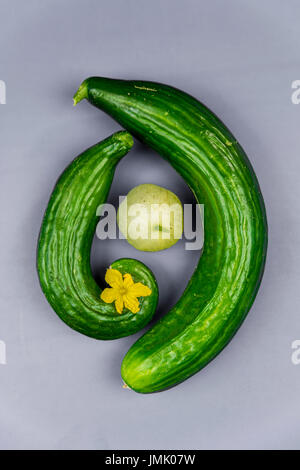 Die Bilder sind in meinem Studio im Napa Valley 'CA' und in St Martin "Karibik" aufgenommen. Stockfoto