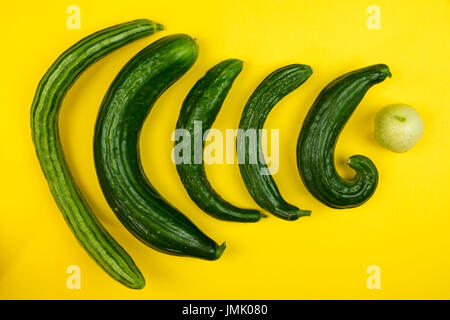 Die Bilder sind in meinem Studio im Napa Valley 'CA' und in St Martin "Karibik" aufgenommen. Stockfoto