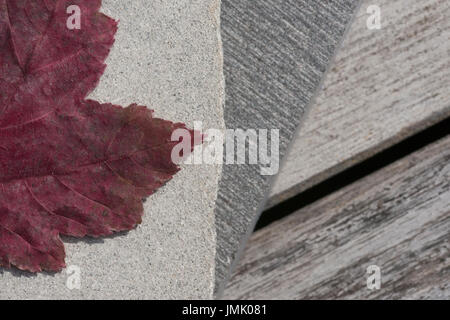Die Bilder sind in meinem Studio im Napa Valley 'CA' und in St Martin "Karibik" aufgenommen. Stockfoto