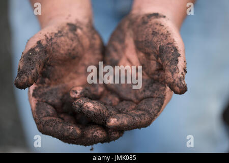 Die Bilder sind in meinem Studio im Napa Valley 'CA' und in St Martin "Karibik" aufgenommen. Stockfoto