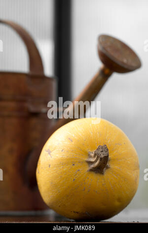 Die Bilder sind in meinem Studio im Napa Valley 'CA' und in St Martin "Karibik" aufgenommen. Stockfoto