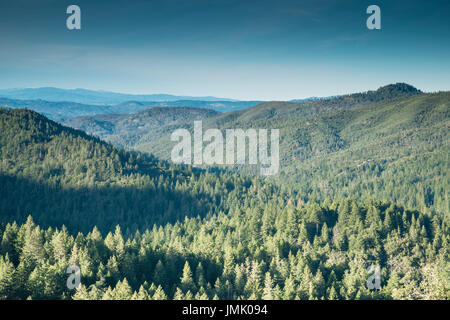 Die Bilder sind in meinem Studio im Napa Valley 'CA' und in St Martin "Karibik" aufgenommen. Stockfoto