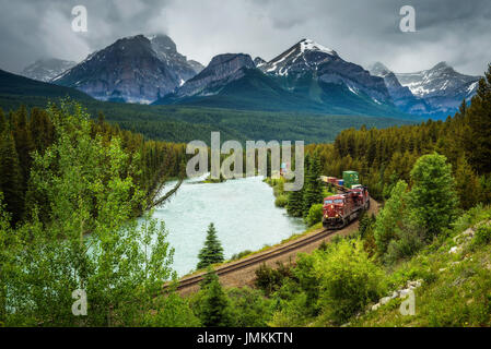 Zug auf der Durchreise die Morant Kurve im Bow Valley mit Rocky Mountains im Hintergrund, Banff Nationalpark, Alberta Kanada Stockfoto