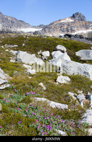 Sommer auf des Teufels Punchbowl Landschaft über einem Kilometer über dem Meeresspiegel (Skagway, Alaska). Stockfoto