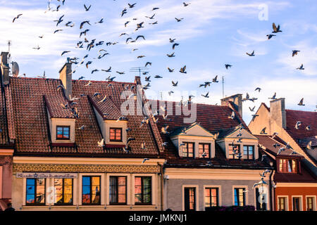 Sandomierz Gebäude Dächer Stockfoto