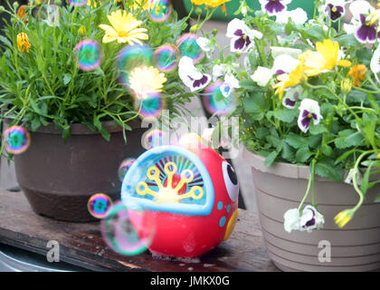 Eine Blase, die Maschine befindet sich zwischen zwei Töpfe mit Blumen an einem regnerischen Tag. Stockfoto