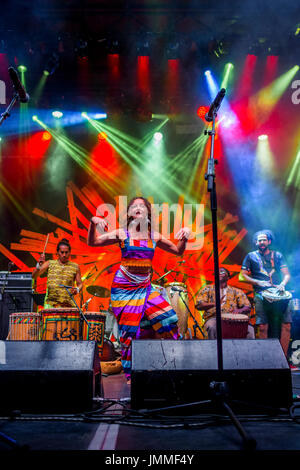 Vancouver, Kanada. 27. Juli 2017. Drums über die Salish Sea-Multi-Kulti-Trommel-Präsentation an der Trommel ist Calling Festival, Kanada 150 Ereignis, Larwill Park, Vancouver, British Columbia, Kanada. Bildnachweis: Michael Wheatley/Alamy Live-Nachrichten Stockfoto