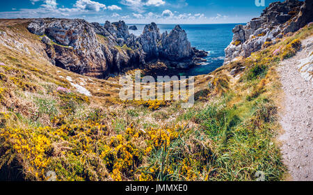 Panorama von Pointe du Stift-Hir auf der Halbinsel Crozon, blühende Heidekraut (Calluna Vulgaris), Finistere Abteilung Camaret-Sur-Mer, Parc Naturel Regio Stockfoto