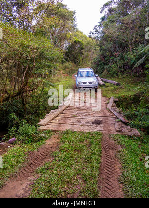 Schmutzige verfolgen tief in den Wald im Bocaina Hills, São Paulo Immobilien, Brasilien Stockfoto