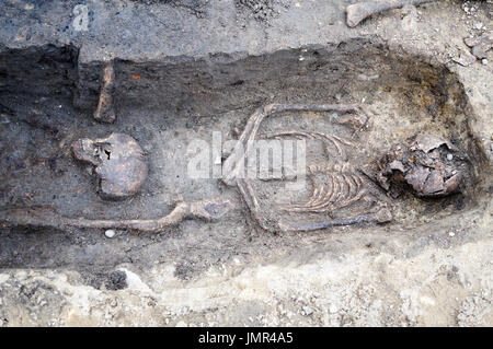 Archäologische Ausgrabung mit Skeletten und Schädeln, die noch halb in der Erde vergraben Stockfoto