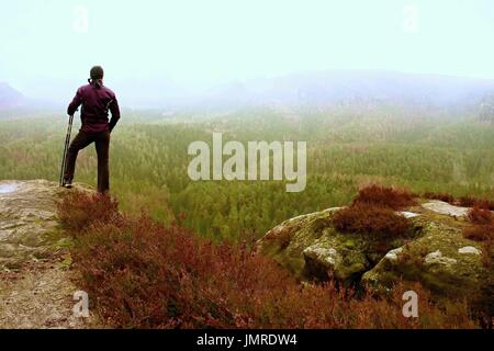 Mann Wanderer in dunkle Sportbekleidung und Polen stehen auf Berg-Gipfel-Felsen. Rote Heide Büschen wächst im Fels. Stockfoto