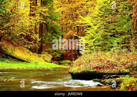 Farben der Herbst Gebirgsfluss. Banken, bunte Blätter, Blätter Bäume gebogen über Fluss. Stockfoto