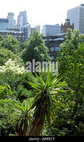 Blick auf die Stadt London Gebäude über Bäume und Yucca tree in der privaten Garten im Barbican Estate in Central London UK KATHY DEWITT Stockfoto