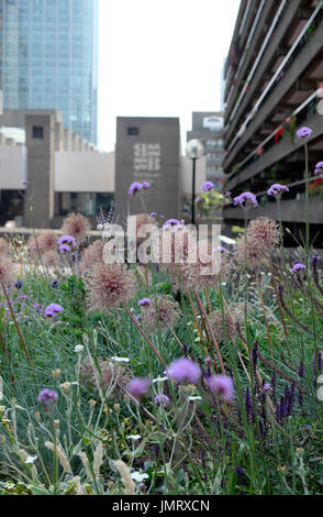 Gärten im Barbican Estate in Central London UK KATHY DEWITT Stockfoto