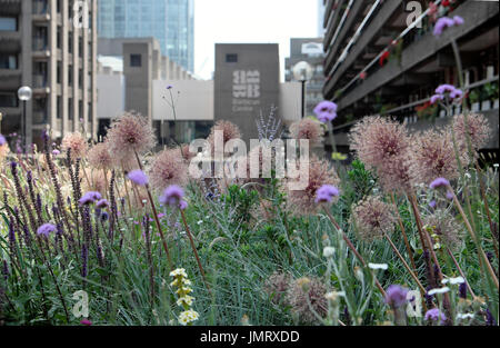 Barbican Centre Gebäude und Designer Nigel von Nutzen können dabei Dunnettsche Buche Gärten im Barbican Estate im Juni London EC 2 England UK KATHY 2017 DEWITT Stockfoto