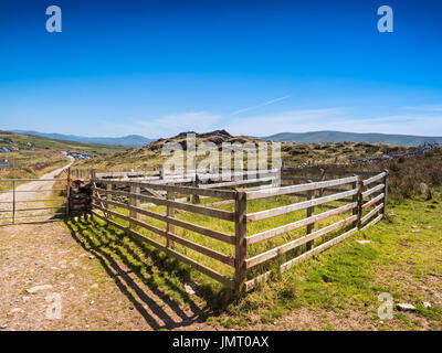 Schaf-Zaun auf Valentia Island in Irland Stockfoto