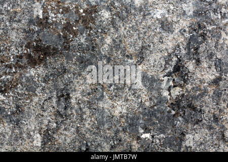 Grauer Granit natürliche Muster für den Hintergrund. Stockfoto