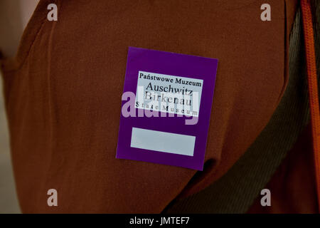 Ein Ticket für das Museum in das Konzentrationslager Auschwitz Stockfoto