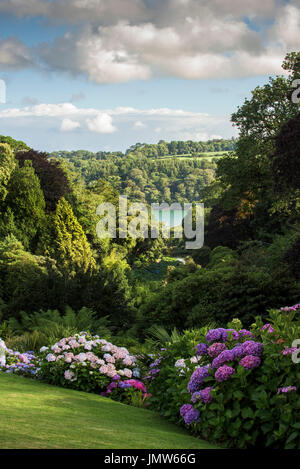 Trebah Garten in Cornwall. Stockfoto