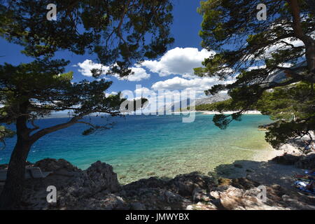 Unter den Pinien auf Kroatien Küste Spaziergang von Brela, Makarska Stockfoto