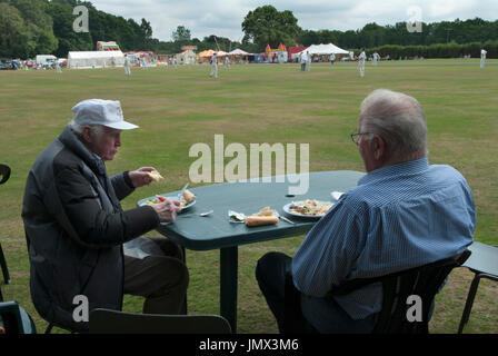 Zuschauer des Dorflebens in England beobachten Dorfkricket und essen zu Mittag. Ebernoe, Sussex, England. 2010ER 2015 UK HOMER SYKES Stockfoto