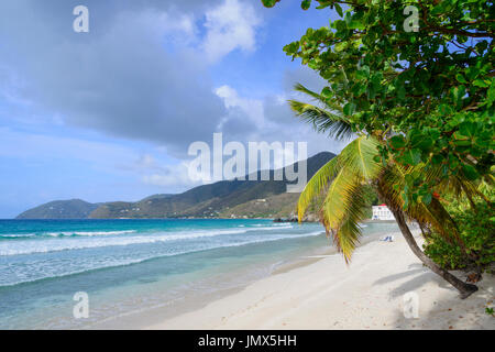 Sandy Beach und Palm Tree Island Tortola, Britische Jungferninseln, Karibik Stockfoto