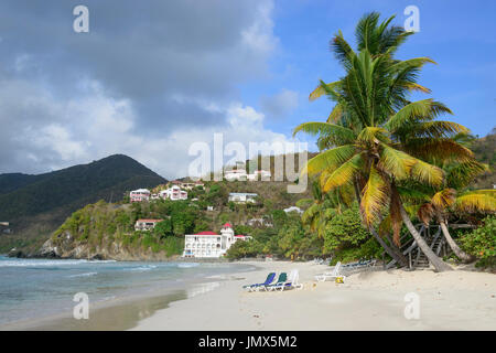 Sandy Beach und Palm Tree Island Tortola, Britische Jungferninseln, Karibik Stockfoto