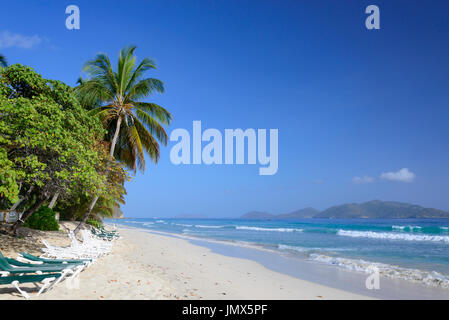 Sandy Beach und Palm Tree Island Tortola, Britische Jungferninseln, Karibik Stockfoto