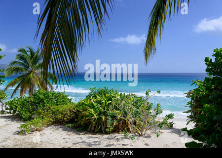 Strand von Long Bay Beach Club, Insel Tortola, Britische Jungferninseln, Karibik Stockfoto