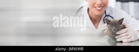 Digitalen Verbund von Happy vet Frau eine kleine Katze streicheln Stockfoto