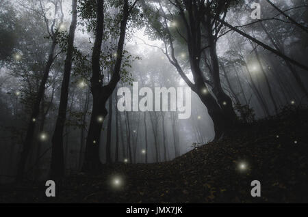 Magisch funkelt in nebligen Wäldern, Dark Fantasy Landschaft Stockfoto