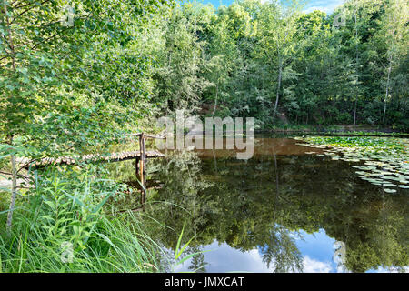 Reflexion von einem grünen Wald, ein blauer Himmel und eine kleine Anlegestelle am Ufer eines Teiches Wald im Sommer Stockfoto