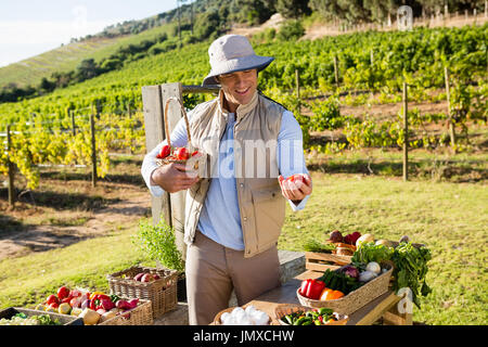 Glücklicher Mann halten frisches Gemüse am Stand im Weinberg Stockfoto